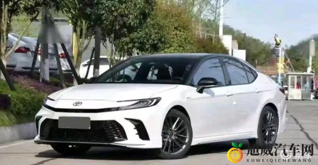 粉色苏州晶体：汽车新品引潮流，时尚设计抢眼市场-1