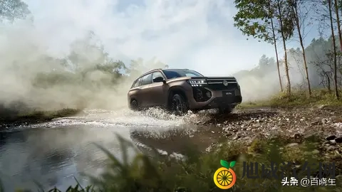 途昂 Pro 2026款哪个版本值得买-1