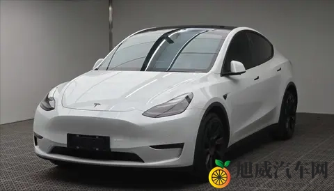 浙江车主喜欢开什么车？吉利还是特斯拉？-2