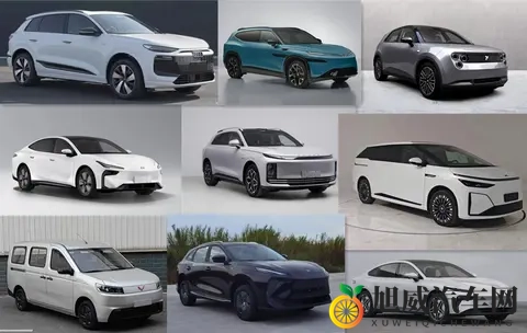 工信部第401批新车：“金标大众”殊死一搏-3